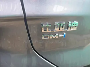 New BYD Song Plus 2025 Gray