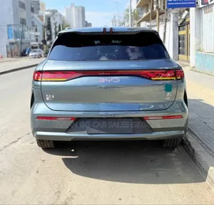 New BYD Song Plus 2025 Purple