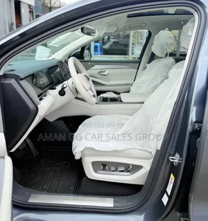 New BYD Song Plus 2025 Purple