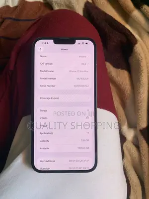 Apple iPhone 13 Pro Max 256 GB Gray