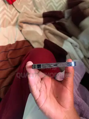 Apple iPhone 13 Pro Max 256 GB Gray