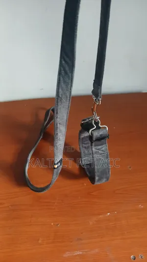Dog Collar With Having of Leash