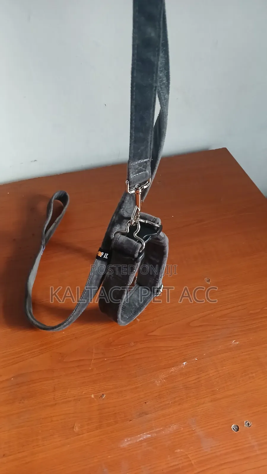Dog Collar With Having of Leash