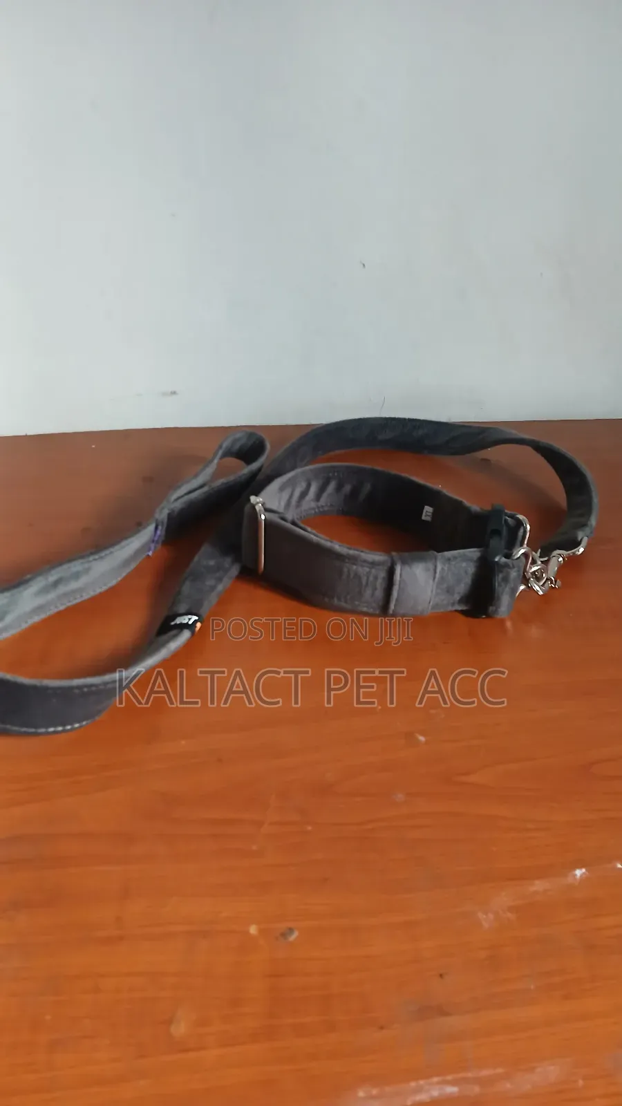Dog Collar With Having of Leash