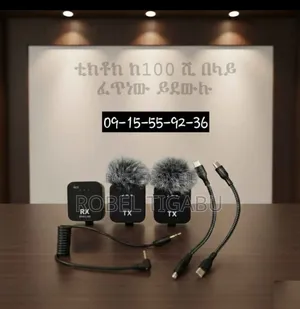 Wireless Dual Microphone - Tiktok