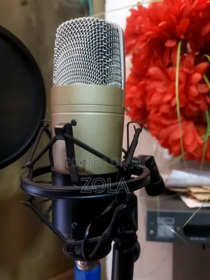 Bringer C-1 Studio Mic