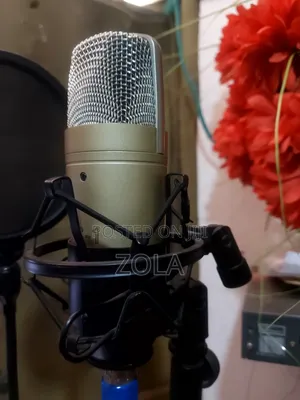 Bringer C-1 Studio Mic