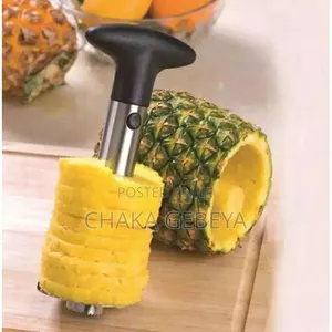 Easy Pineapple Prep Tool-removes Skin,Core, And Creates Rings