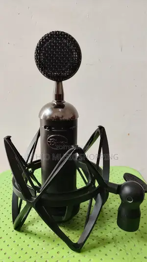 Studio Mic