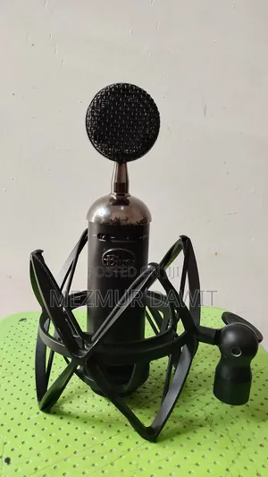 Studio Mic