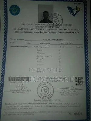 Online Marketer and Sales