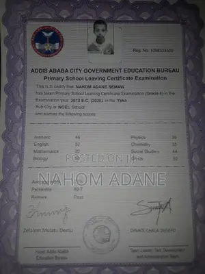 Online Marketer and Sales