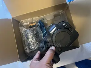 Canon R Canon R 6 With Lens Silver