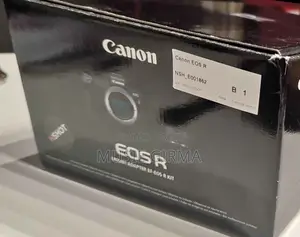 Canon R Canon R 6 With Lens Silver