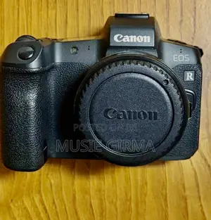 Canon R Canon R 6 With Lens Silver