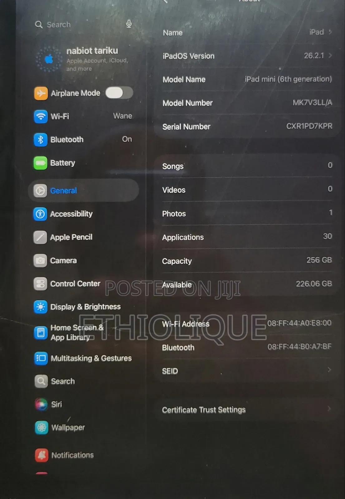 Apple iPad mini 6 256 GB Gray