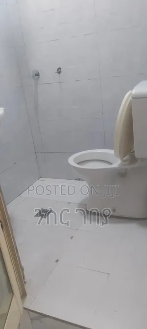 Furnished 2bdrm Condo in Ayat 49, 40/60, Yeka for rent