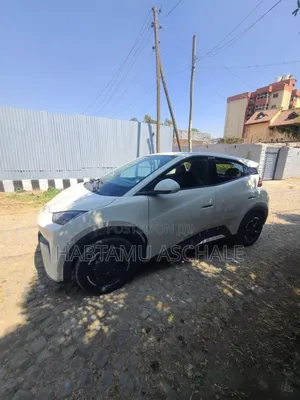 New BYD Seagull 2024 White