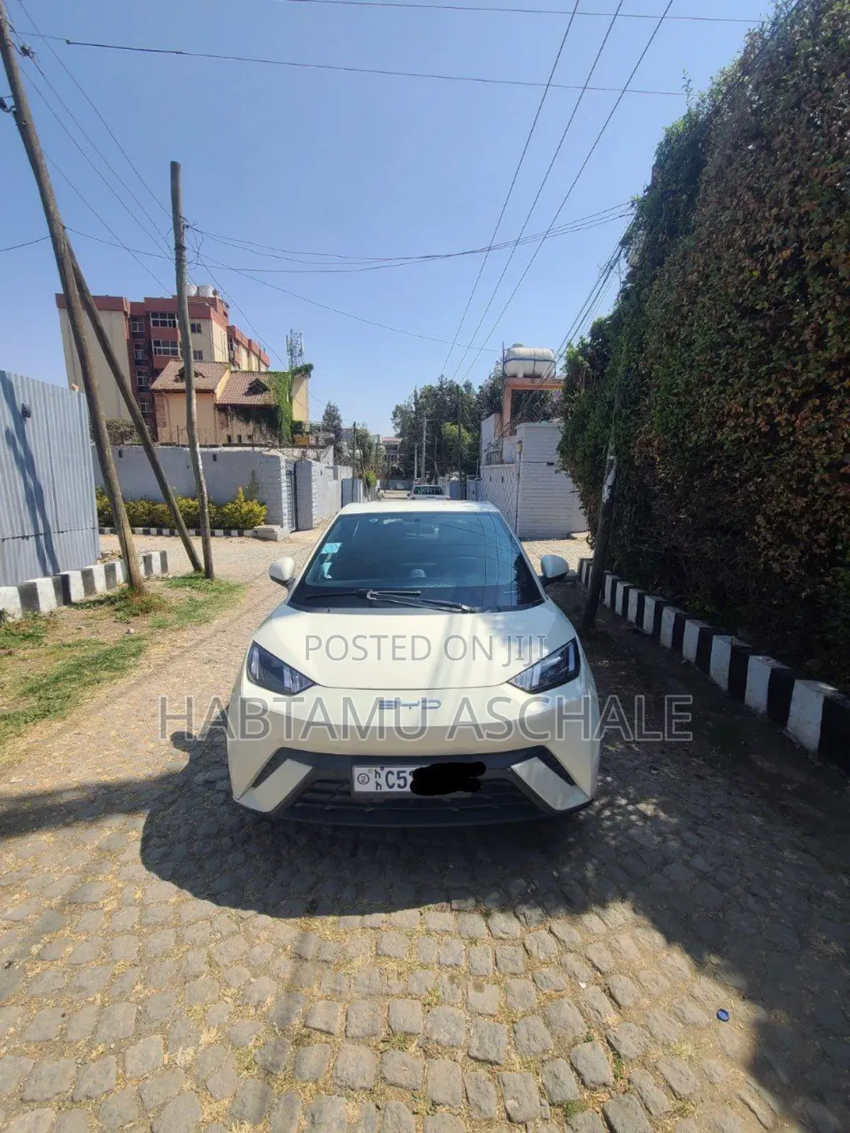 New BYD Seagull 2024 White