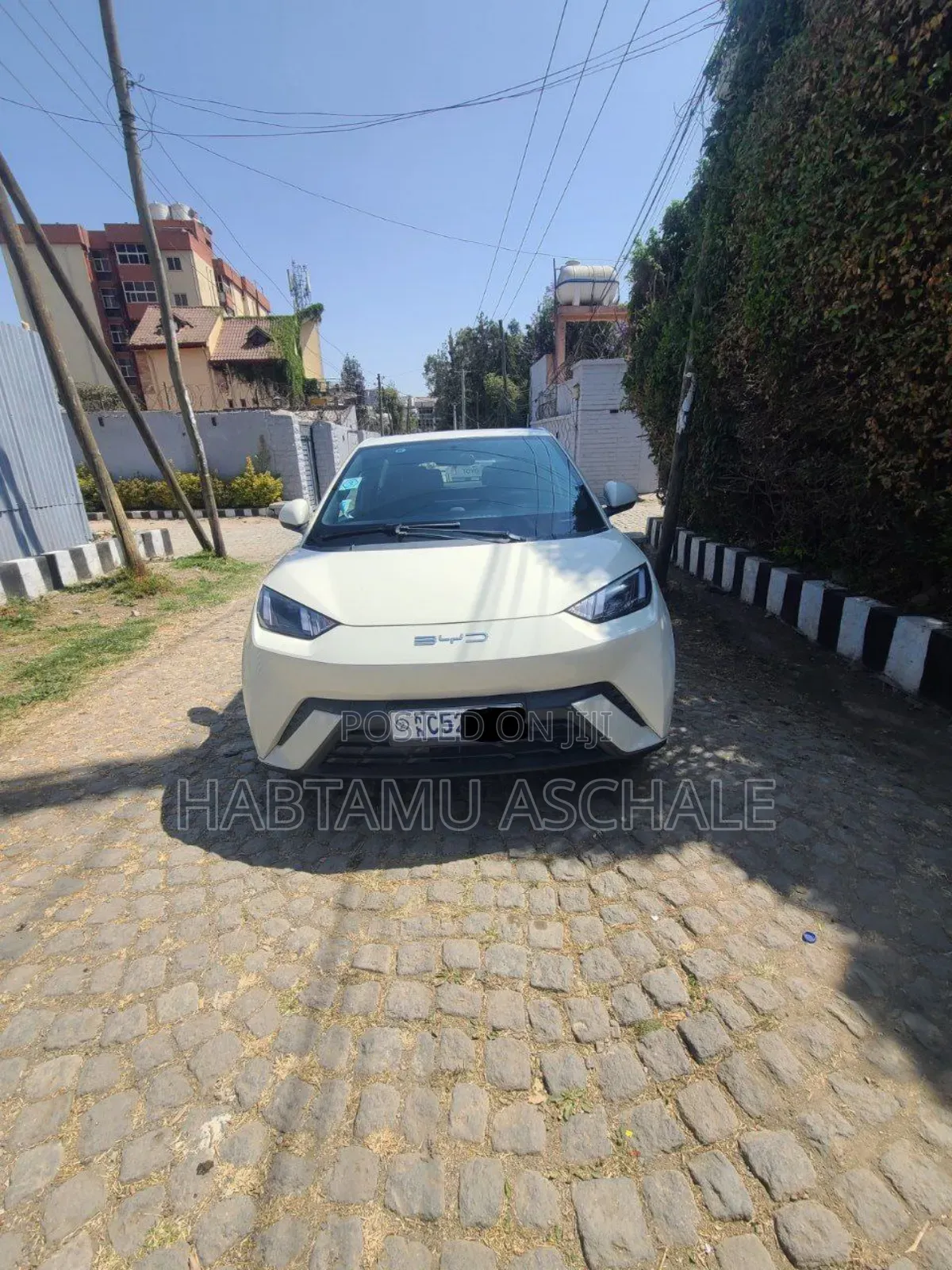 New BYD Seagull 2024 White