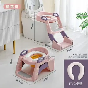 3-in-1 Kids Potty Training Ladder