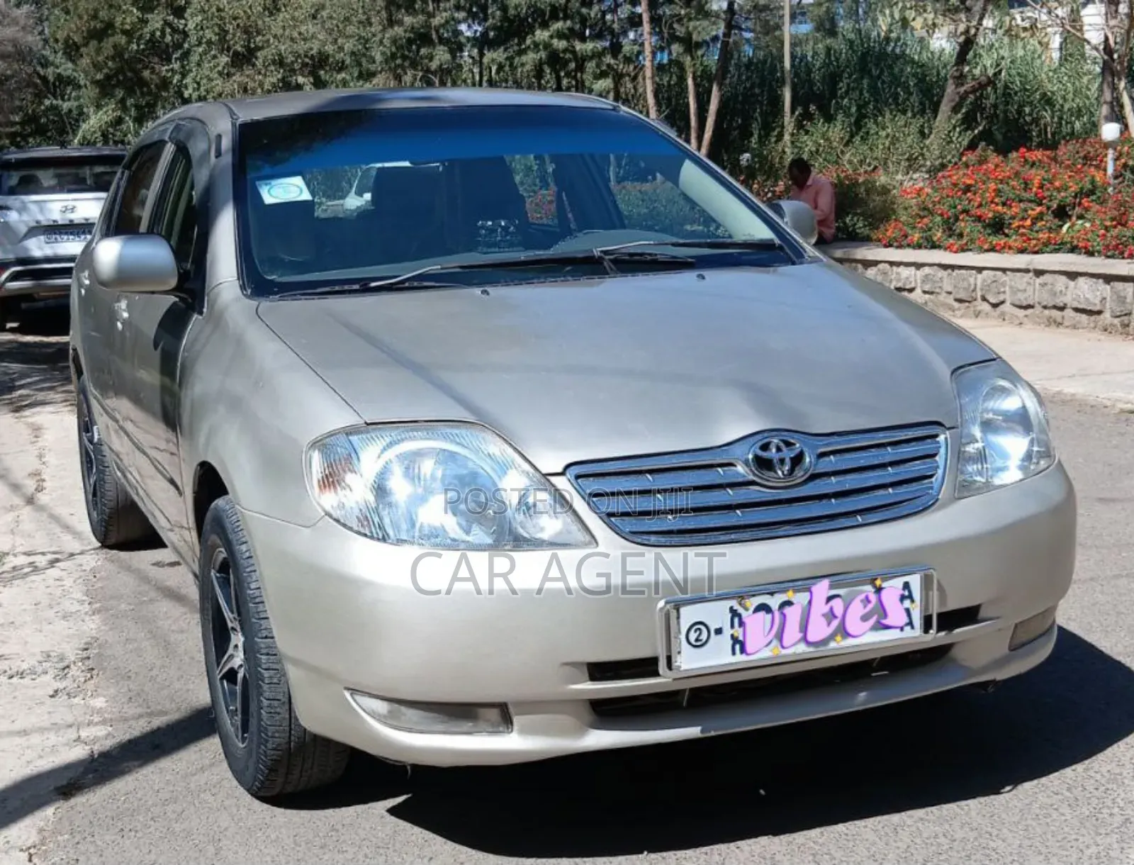 Toyota Corolla 2003 Ivory