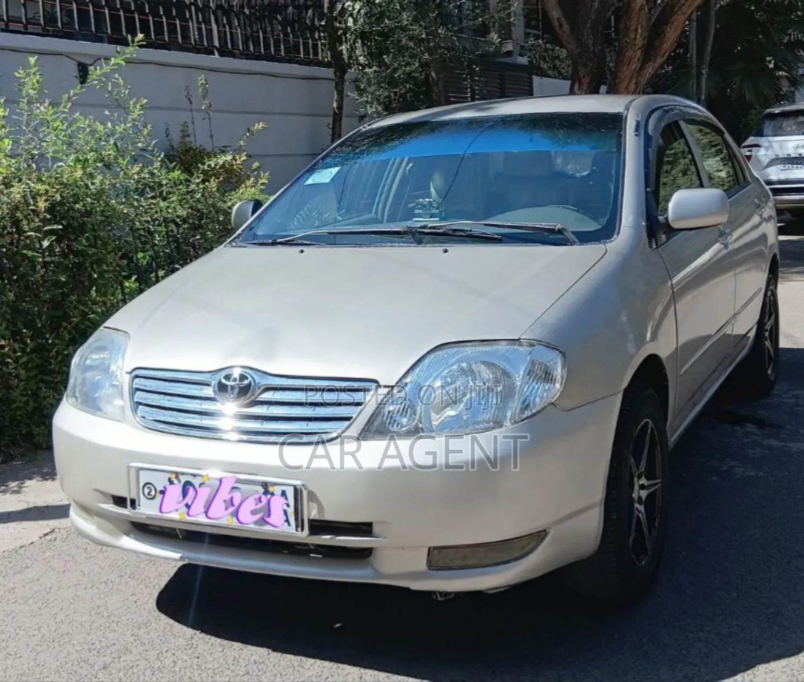 Toyota Corolla 2003 Ivory