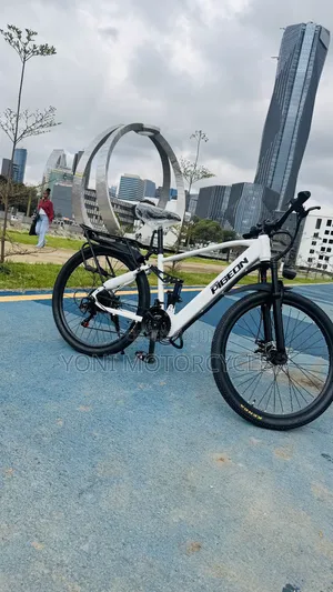 Electric Bike Dubel Suspension Pigeon Bike