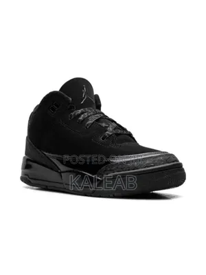 Air Jordan 3 Shoes