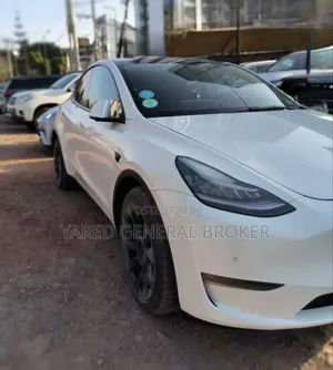 Tesla Model Y 2022 White