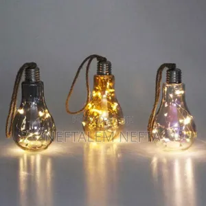 Hanging Bulb With Fairy Lights