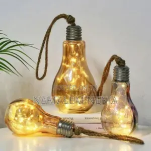 Hanging Bulb With Fairy Lights