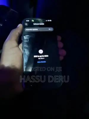 Apple iPhone 15 Pro 256 GB Gray