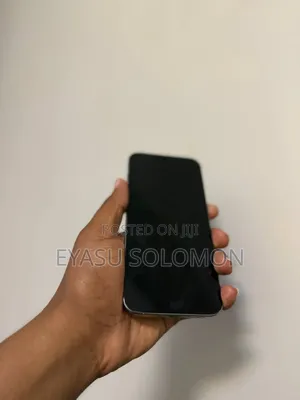 Apple iPhone 15 Pro Max 256 GB Silver