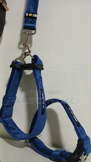 Fancy Dog Collar and Lead/Leash