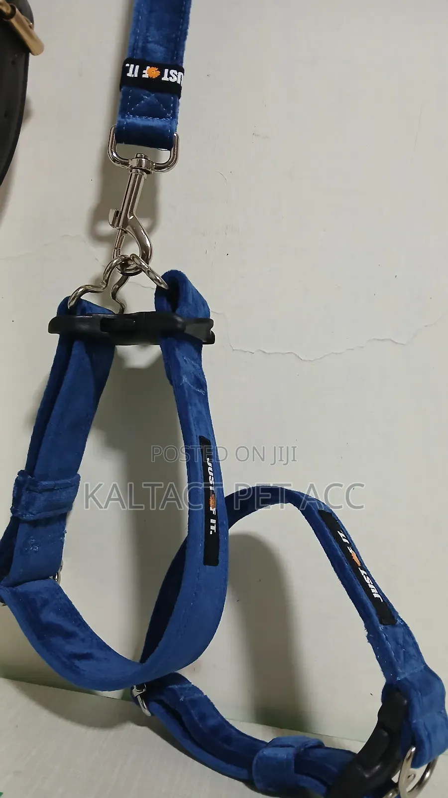 Fancy Dog Collar and Lead/Leash