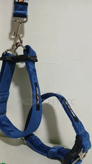 Fancy Dog Collar and Lead/Leash