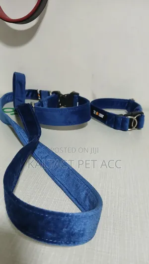 Fancy Dog Collar and Lead/Leash