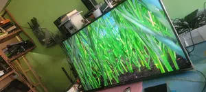 Lg 55 Used Almost New