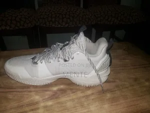 Li-Ning 42 1/2 Brand Shoe