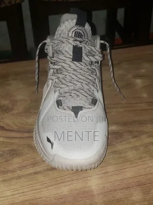 Li-Ning 42 1/2 Brand Shoe