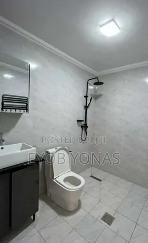 Furnished 3bdrm Apartment in Ethiopia Realeste, Bole for sale