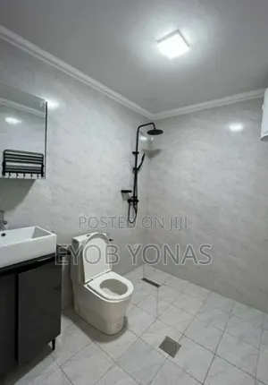 Furnished 3bdrm Apartment in Ethiopia Realeste, Bole for sale