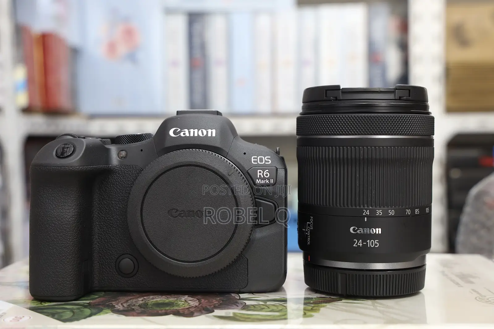 Canon R6 Mark 2 With 24-105mm Silver Ring Lens