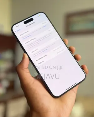 Apple iPhone 15 Pro Max 256 GB Gray