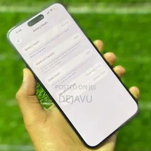 Apple iPhone 15 Pro Max 256 GB Gray