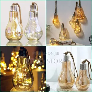 Hanging Bulb With Fairy Light