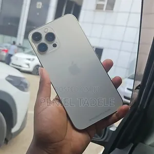 Apple iPhone 13 Pro Max 512 GB Rose Gold