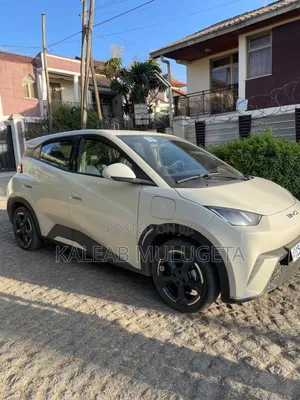 BYD Seagull 2024 White