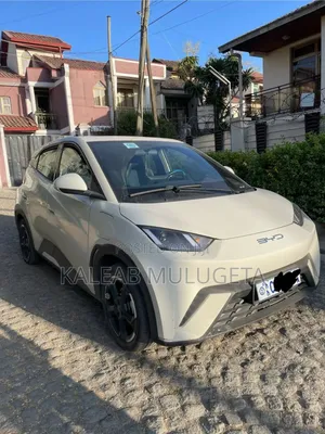 BYD Seagull 2024 White